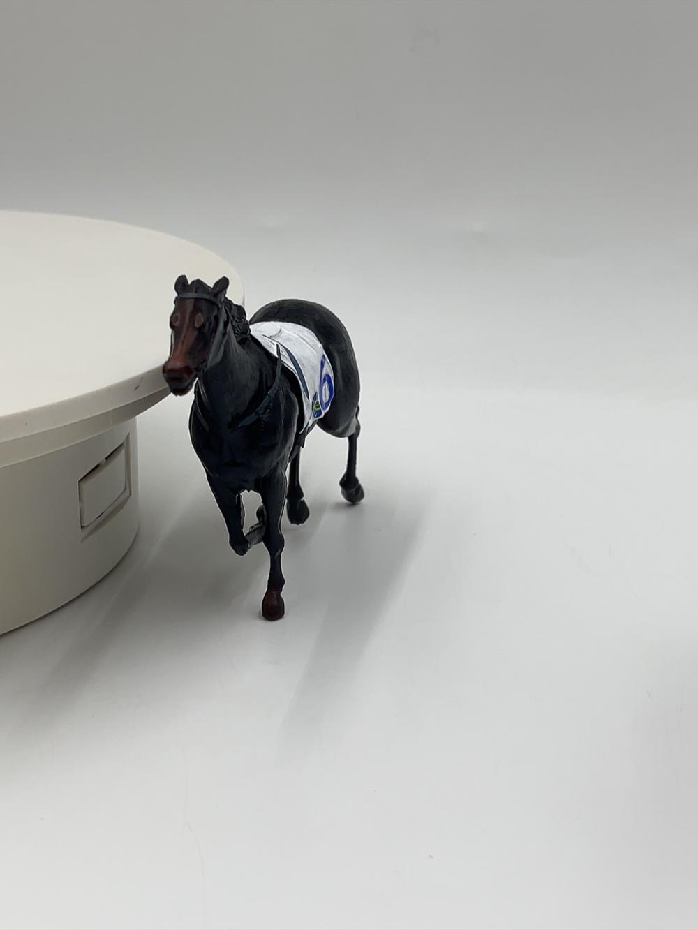 香港賽馬會拉頭馬紀念公仔訂造・3D打印公仔 賽馬禮物推薦【三駿馬模型與「1、5、6」號馬匹布・透明防塵展示盒擺設】香港賽馬紀念品 / 拉頭馬慶功禮物 HKJC Winning Horse Custom Figurine - Image 8