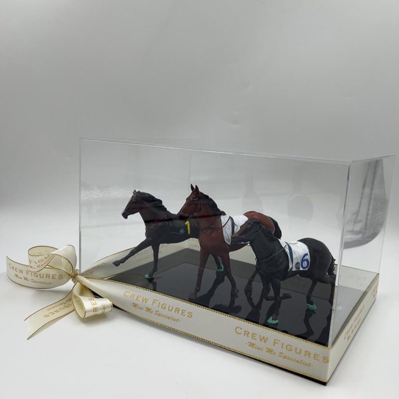 香港賽馬會拉頭馬紀念公仔訂造・3D打印公仔 賽馬禮物推薦【三駿馬模型與「1、5、6」號馬匹布・透明防塵展示盒擺設】香港賽馬紀念品 / 拉頭馬慶功禮物 HKJC Winning Horse Custom Figurine