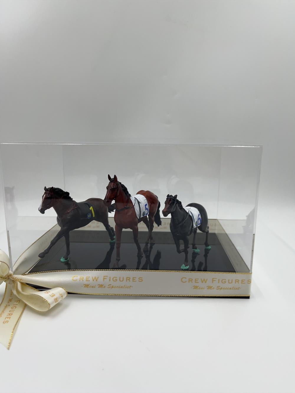 香港賽馬會拉頭馬紀念公仔訂造・3D打印公仔 賽馬禮物推薦【三駿馬模型與「1、5、6」號馬匹布・透明防塵展示盒擺設】香港賽馬紀念品 / 拉頭馬慶功禮物 HKJC Winning Horse Custom Figurine - Image 9